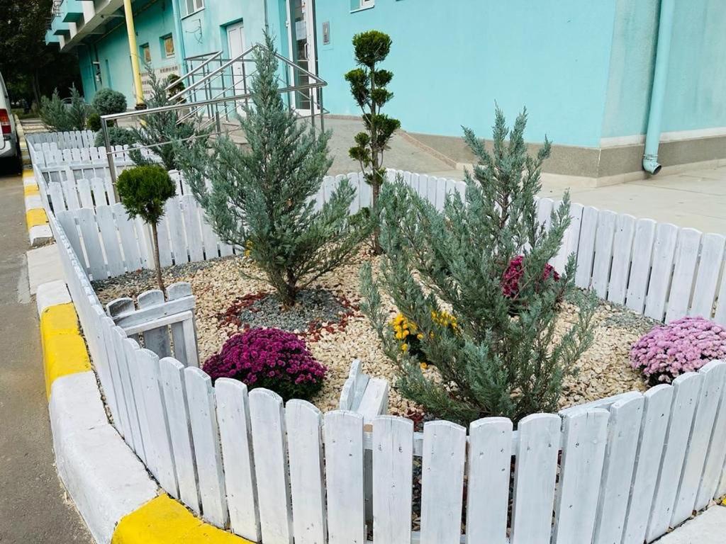 Apartament Summerland Mamaia Nord Exterior foto